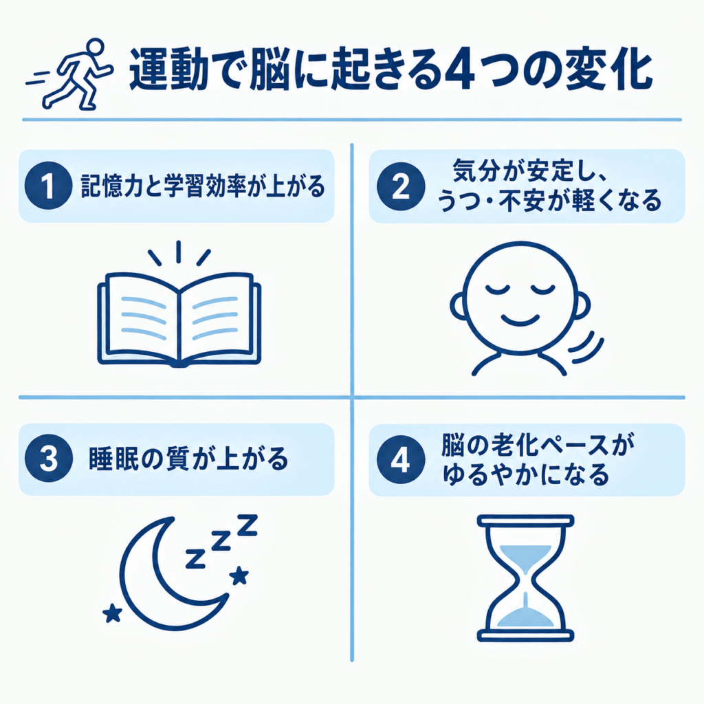 運動で脳に起きる4つの変化