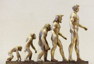 人間が直立二足歩行になった理由と問題。なぜ人類は立ち上がったのか | Tetsuya's マインドパレス