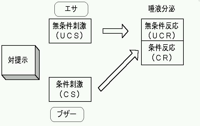 古典的 レスポンデント 条件付けとオペラント条件を分かりやすく解説 Tetsuya S マインドパレス