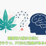 A professional, minimalist editorial illustration for a health science blog. Split