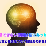 Warm, natural-toned illustration of a human silhouette with a softly glowing brain. Inside the brain, gentle pathways of light connect two areas (memory and reward) with warm amber and moss green colors. Soft watercolor style, cream background, hopeful and calming mood, minimal and clean composition.