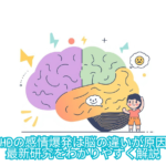 ADHDの感情爆発は脳の違いが原因？ 最新研究をわかりやすく解説