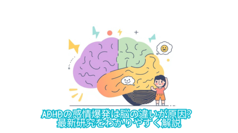 ADHDの感情爆発は脳の違いが原因? 最新研究をわかりやすく解説