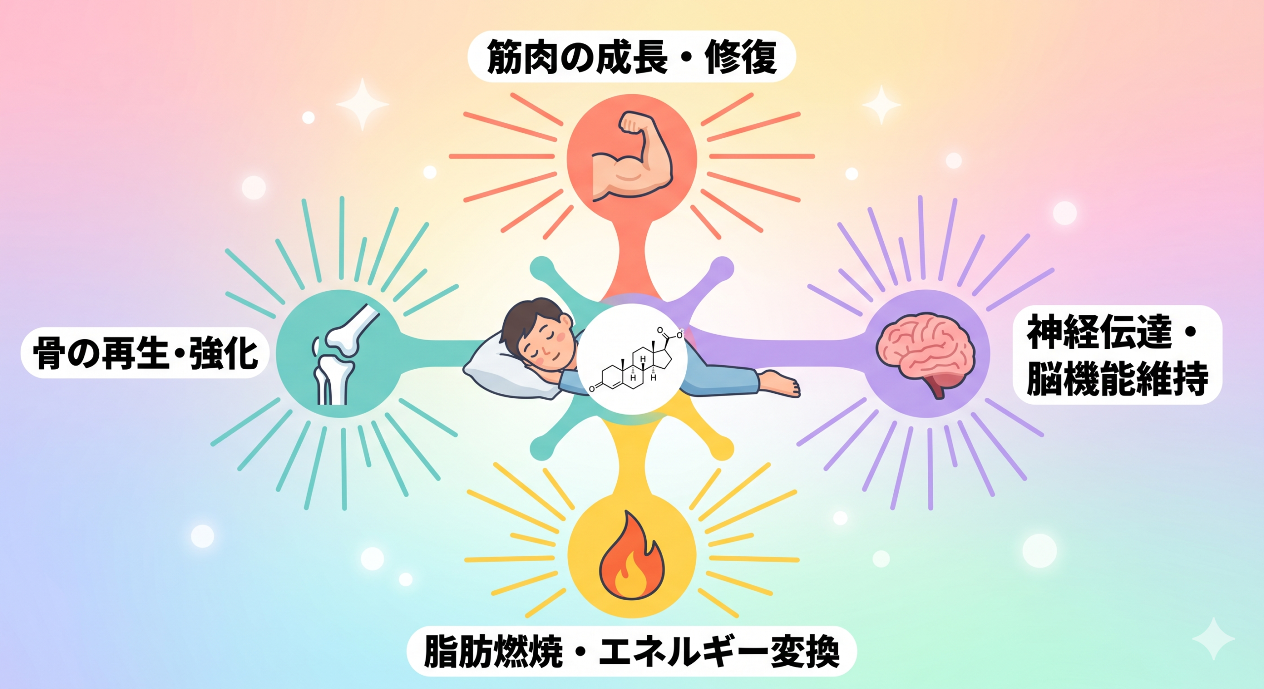 Infographic showing a sleeping human silhouette in the center with colorful arrows radiating to four icons: a flexed muscle, a flame burning fat, a glowing brain, and a bone. Each icon has a short label area. Pop and colorful flat design, teal, coral, yellow, lavender palette, white background, friendly rounded shapes, modern, clean. 16:9 aspect ratio. No actual text, just placeholder boxes for labels.