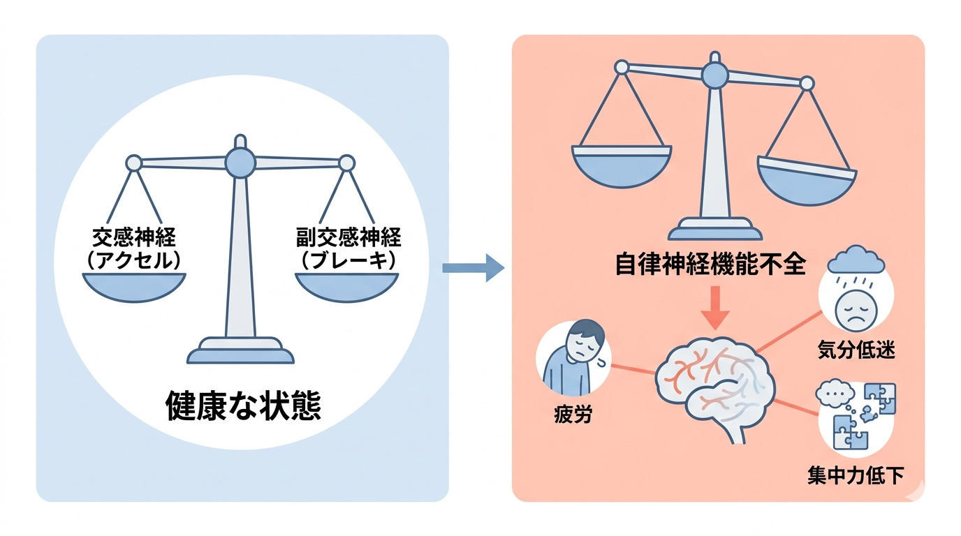 A clean, modern infographic illustration showing the autonomic nervous system mechanism. Left side: a balanced scale icon with "Sympathetic Nervous System (accelerator)" on one side and "Parasympathetic Nervous System (brake)" on the other, both in soft blue tones, balanced state labeled "Healthy." Right side: the same scale tilted and unbalanced, labeled "Autonomic Dysfunction," with an arrow pointing down to a brain icon with reduced blood flow shown as faded pathways, leading to symptom icons (fatigue, low mood, poor concentration). Flow direction is left to right. Color palette: soft blue, white, light grey, pale coral for the dysfunction state. Minimalist flat design, no photorealism, no text except simple English labels.