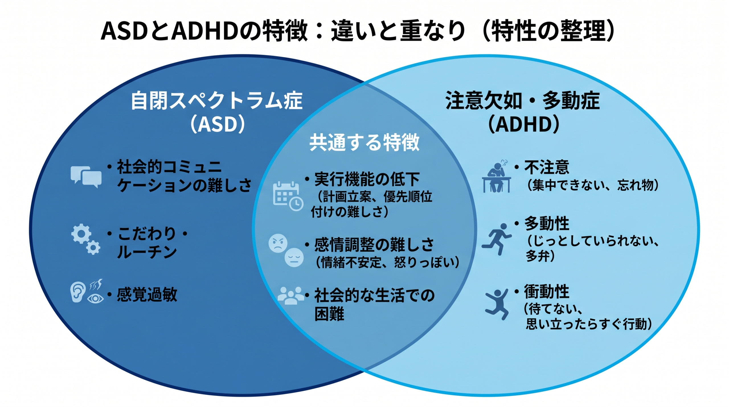 A clean infographic with a Venn diagram layout. Left circle labeled 'ASD' lists: social communication, routines, sensory sensitivity. Right circle labeled 'ADHD' lists: inattention, hyperactivity, impulsivity. Overlap area shows: executive function, emotional regulation. Flat design, blue and sky-blue color scheme, white background, modern sans-serif typography, no decorative elements.
