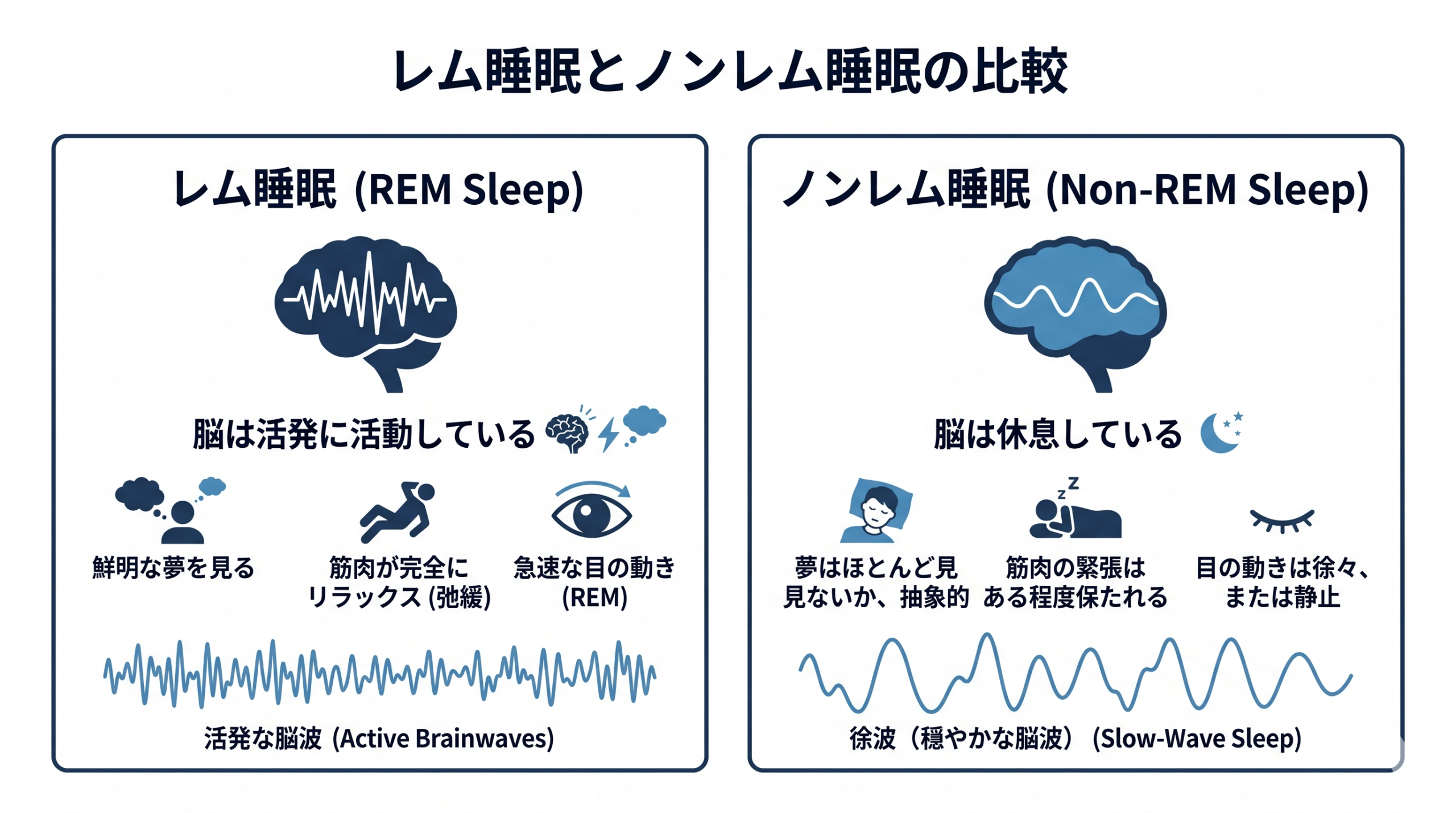 Minimalist modern infographic comparing REM sleep and non-REM sleep. Two side-by-side panels with simple flat icons: left panel shows an awake-like brain with active wavy lines (REM), right panel shows a calm brain with smooth gentle waves (non-REM). Clean typography placeholder boxes, navy (#1F3A5F) and accent blue (#4A90C2) on white background, lots of white space, no actual readable text, editorial infographic style.