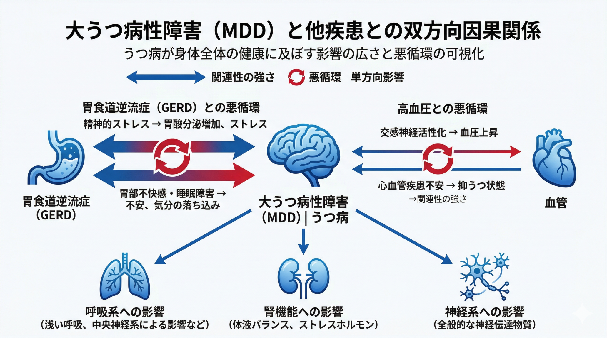 Clean infographic showing bidirectional causal relationships. Center: brain icon (depression/MDD) in blue. Two bidirectional arrows: (1) thick blue double-headed arrow connecting brain to stomach icon (GERD) with cycle symbol, (2) thinner blue double-headed arrow connecting brain to heart icon (hypertension). Small text labels indicating direction of causation. Additional one-way arrows from brain to other organ icons (lungs, kidney, nerve) showing unidirectional effects. White background, modern minimal style, blue (#1A73E8) primary with red (#EA4335) accent for the cycle arrows. Clean, professional healthcare design.