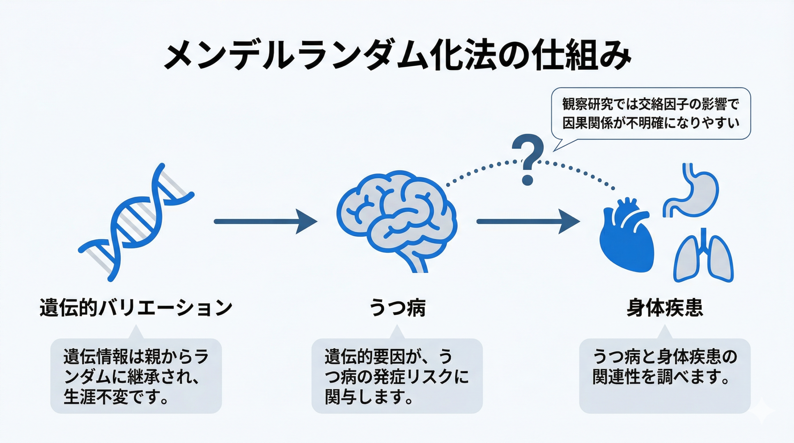 Clean infographic explaining Mendelian Randomization concept. Three connected elements in a horizontal flow: (1) DNA icon with label 'Genetic Variants' on left, (2) arrow pointing to a brain icon labeled 'Depression' in center, (3) arrow pointing to body organ icons (heart, stomach, lungs) labeled 'Physical Diseases' on right. A dotted line connecting depression and diseases with question mark. White background, flat design, blue (#1A73E8) primary color with light gray accents. Minimal, modern, clean typography spaces for Japanese text labels.