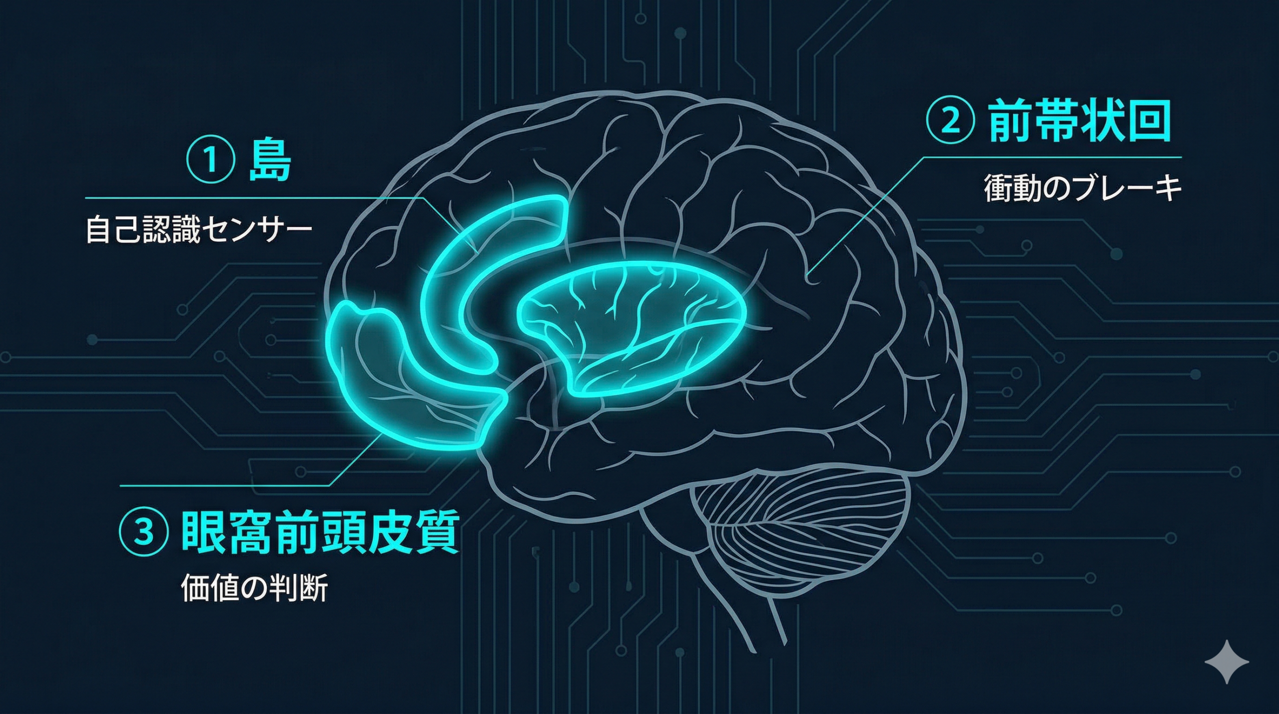A cybernetic infographic showing a side-view human brain diagram on dark navy background (#0D1B2A). Three brain regions highlighted with cyan neon glow (#00D4FF): (1) insula labeled 'Self-awareness sensor', (2) anterior cingulate cortex labeled 'Impulse brake', (3) orbitofrontal cortex labeled 'Value judge'. Clean lines, minimal text, circuit-board pattern overlay. Professional medical illustration style with futuristic aesthetic.