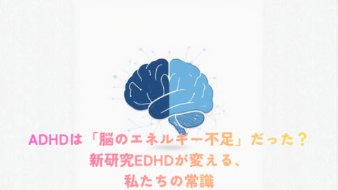 Minimal scientific illustration of a human brain shaped like a battery, half-charged, in soft navy blue and light blue tones on a clean white background. Thin line art style, subtle gradient. Small neural network patterns in the background. Modern, calm, science-magazine aesthetic. No text.