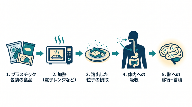 Step-by-step infographic showing the journey of microplastics from packaging to brain. Five flat-design icons connected by arrows: (1) plastic packaged ultra-processed food, (2) microwave heating with heat waves, (3) food on a plate with tiny particle dots, (4) human body silhouette with arrows pointing inward, (5) human brain with embedded particles glowing. Clean minimalist scientific style, color palette: navy #0B3D5C, teal #0E8388, soft cream #FFF4D6 highlights, white background. Each step labeled with short numerals. Editorial magazine quality. 16:9 aspect ratio.
