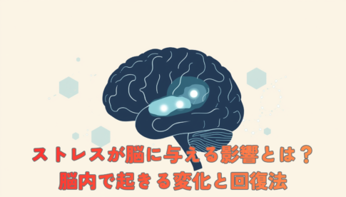 A clean scientific illustration of a human brain shown in cross-section, anatomically accurate, set against a soft off-white background. Subtle glowing nodes highlight three regions in different colors. A faint hexagonal molecular pattern drifts in the background to suggest cortisol hormones. Color palette: deep navy blue (#1A3A5C), teal (#2C8C99), light blue accents, with a single soft coral (#E8826B) highlight. Flat vector medical-illustration style, thin precise linework, generous negative space, no text. Calm, educational, trustworthy mood.