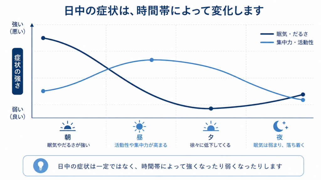 Minimal clean line-chart style data visualization, x-axis implied as four times of day (morning, afternoon, evening, night) shown only with small sun/moon icons, two smooth curves (one navy, one sky blue) crossing to suggest fatigue worsening in the morning then improving later. Flat editorial infographic, navy (#23415C), sky blue (#3E7CB1), white background, thin gridlines, no readable numbers or text, professional medical style.