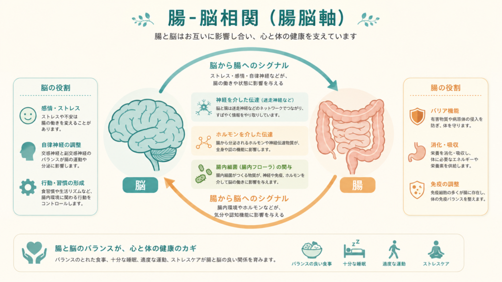 Clean infographic of the gut-brain axis showing two-way arrows between a simple brain icon and a simple gut icon, with small labels for nerves, hormones and gut bacteria. Teal and warm beige palette on cream background, minimal flat design, friendly and easy to read, plenty of whitespace.