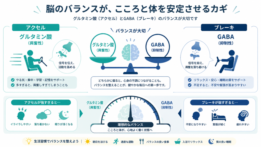 A clean infographic comparing two forces in the brain: an 'accelerator' labeled Glutamate (excitatory) and a 'brake' labeled GABA (inhibitory), shown as a balanced scale or a car dashboard metaphor. Teal and navy palette, flat vector style, simple icons, plenty of white space, soft and friendly, Japanese-audience editorial infographic. No dense text.