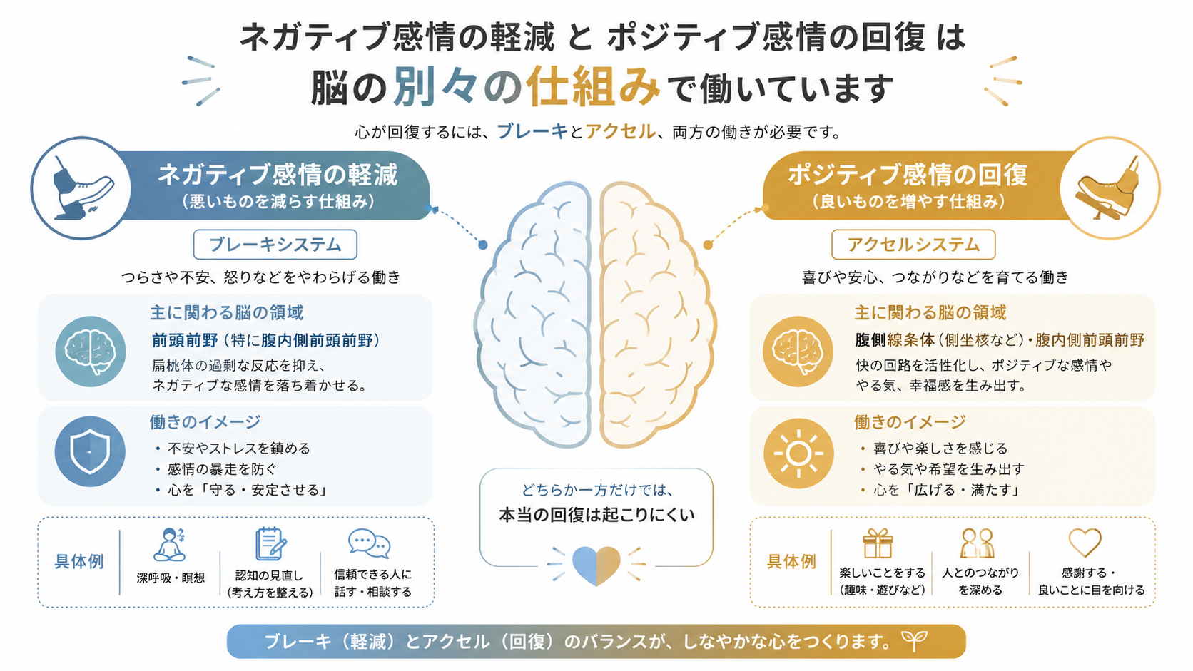 A clean infographic showing two separate brain systems side by side:
left labeled 'Reducing the bad' (a brake pedal icon, cool blue),
right labeled 'Adding the good' (a drive/accelerator icon, warm gold).
Simple line-art brain in the center connecting both. Modern, minimal,
dusty blue and warm amber palette, plenty of white space. Friendly, not
medical. Japanese-friendly clean layout.