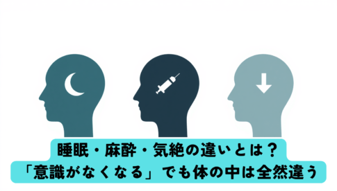 A clean scientific infographic-style illustration comparing three human head silhouettes side by side, each showing a different brain state, labeled with simple icons: a crescent moon (sleep), a syringe (anesthesia), and a downward arrow (fainting). Minimal flat design, soft muted teal, navy and light gray color palette, plenty of white space, no text, calm and clear, medical-scientific aesthetic.
