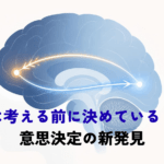 A clean, modern minimalist illustration of a human brain in profile, rendered in soft slate-blue and white with a single warm accent line. Glowing signal pathways travel in BOTH directions between an early sensory region and the front of the brain, suggesting feedback loops. Plenty of negative space, flat vector style, soft gradients, no text. Palette: navy #1F2A44, soft blue #2F6DB4, off-white background.