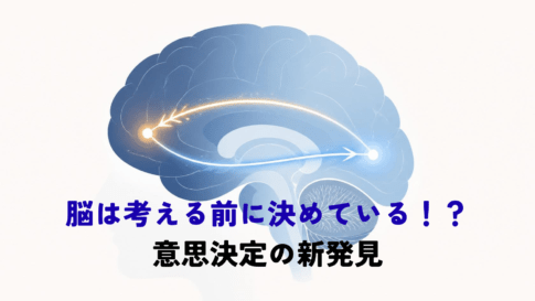 A clean, modern minimalist illustration of a human brain in profile, rendered in soft slate-blue and white with a single warm accent line. Glowing signal pathways travel in BOTH directions between an early sensory region and the front of the brain, suggesting feedback loops. Plenty of negative space, flat vector style, soft gradients, no text. Palette: navy #1F2A44, soft blue #2F6DB4, off-white background.