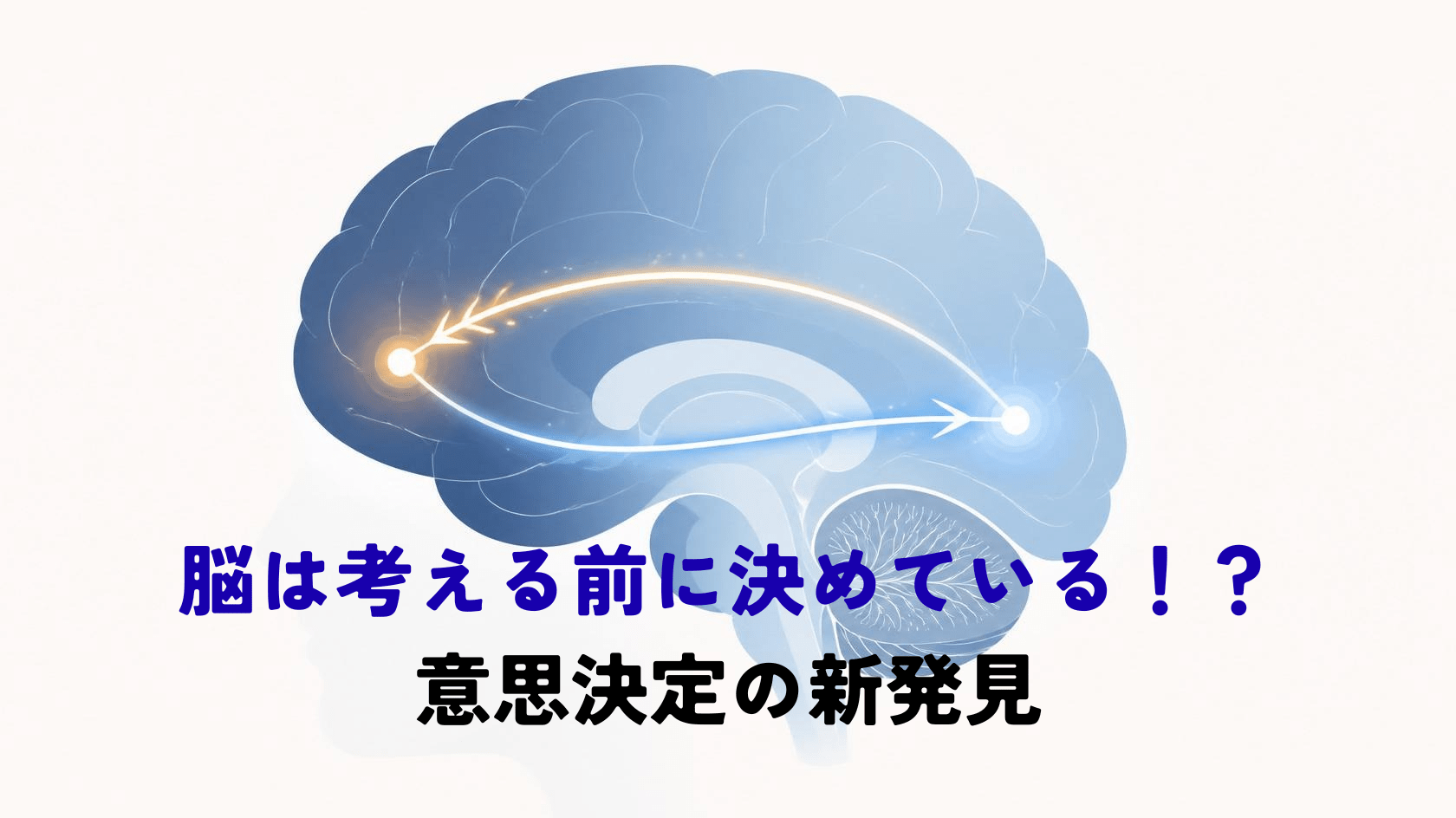 A clean, modern minimalist illustration of a human brain in profile, rendered in soft slate-blue and white with a single warm accent line. Glowing signal pathways travel in BOTH directions between an early sensory region and the front of the brain, suggesting feedback loops. Plenty of negative space, flat vector style, soft gradients, no text. Palette: navy #1F2A44, soft blue #2F6DB4, off-white background.