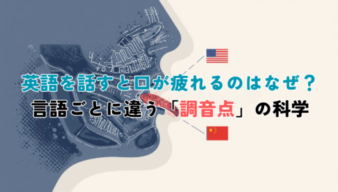 Minimal professional editorial illustration, side-profile cross-section of a human mouth and tongue showing articulation points, four small flags (Japan, USA/UK, China, South Korea) arranged around it, clean navy (#1F3B57) and blue (#3C7DC4) palette on off-white background, subtle line-art style, soft shadows, lots of negative space, no text, 1200x630.