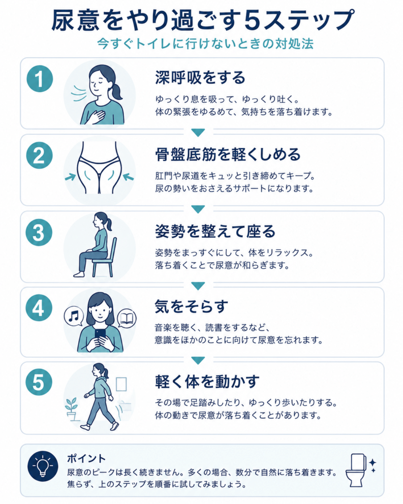 Vertical step-by-step infographic showing five actions to ride out a sudden urge to urinate, numbered cards with simple icons (breathe, squeeze, sit, distract, walk), navy and teal palette, clean flat design, English short labels, mobile-friendly.