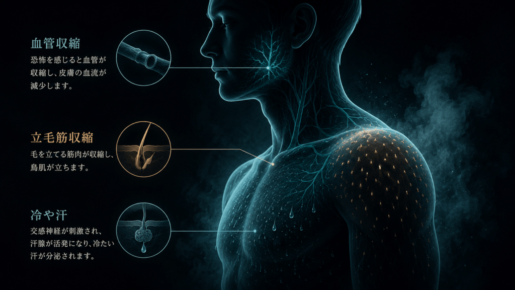 Dark cinematic medical illustration, side silhouette of a human upper body in deep charcoal, glowing thin cyan lines showing constricted skin blood vessels, small amber highlights on skin surface indicating goosebumps, subtle cold blue mist around the figure, minimal scientific diagram aesthetic, teal and amber palette on near-black background, no text, 16:9