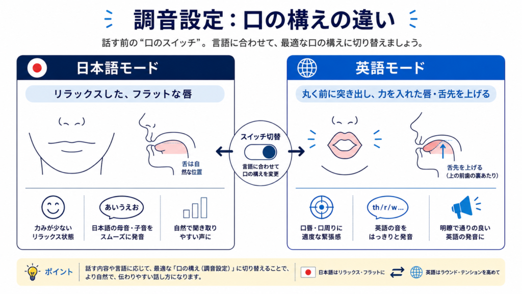 Clean infographic comparing two mouth 'ready postures': left panel labeled area 'relaxed, flat lips' (Japanese), right panel 'rounded, protruded, tense lips, raised tongue tip' (English), simple line diagrams of lips and tongue, navy and blue accent palette, minimal flat design, generous white space, small clear icons, 16:9.