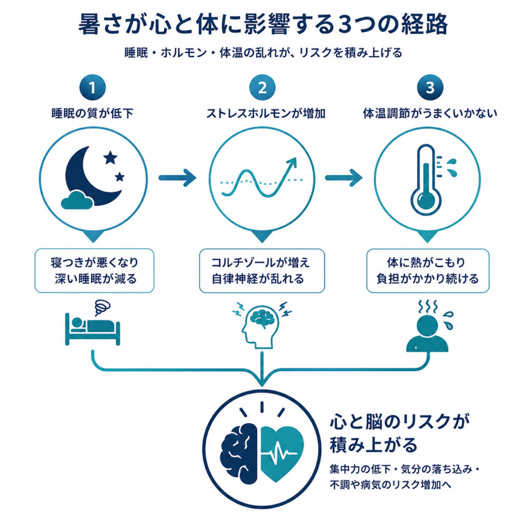 Minimal 3-step diagram, three connected circular icons: a moon (sleep), a hormone wave (stress), a thermometer (body heat), all pointing to a heart-brain symbol, navy and teal on white, flat clean vector, no clutter