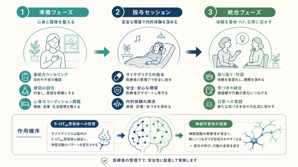 A professional-minimal medical infographic showing three sequential phases:
Preparation, Dosing Session, Integration, connected by arrows, with a small
brain icon showing neural connections rewiring. Flat vector style, muted teal
and navy on off-white, thin clean lines, iconography only minimal English
labels, lots of white space, 16:9.