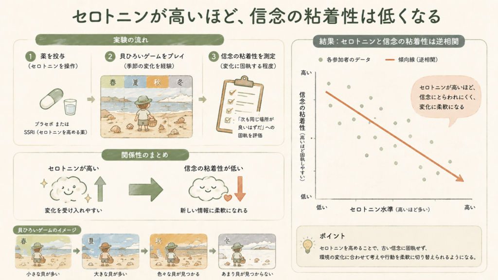 A warm, simple data-visualization illustration: a downward arrow showing 'serotonin up → belief stickiness down', paired with a small illustrated shell-collecting game scene changing seasons; hand-drawn charts, sage-green bars, terracotta highlight line, cream background, natural texture, gentle and non-clinical mood, minimal Japanese labels.