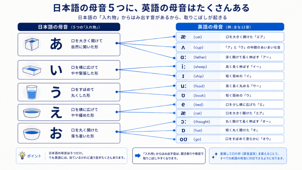 Clean minimal infographic diagram, left-to-right mapping chart. Left column: 5 large rounded
boxes labeled with the Japanese vowels A, I, U, E, O (big kana あ・い・う・え・お). Right column:
about 12 smaller boxes representing English vowels. Multiple connector lines fan out from each
single Japanese box to several English boxes (a one-to-many relationship), clearly showing that
one Japanese vowel maps to several English vowels. Use a navy (#1F3B57) and blue (#3C7DC4)
palette on an off-white background, flat modern design, thin connector lines, generous white
space, professional and educational style, 16:9.
【図に載せる対応データ（デザイナー/オーバーレイ用）】
い → iː (sheep) / ɪ (ship)   ｜ え → e (bed) / æ (cat)
あ → æ (cat) / ʌ (cup) / ɑː (father)
お → ɔː (thought) / ɒ (hot) / oʊ (go)   ｜ う → uː (food) / ʊ (book)