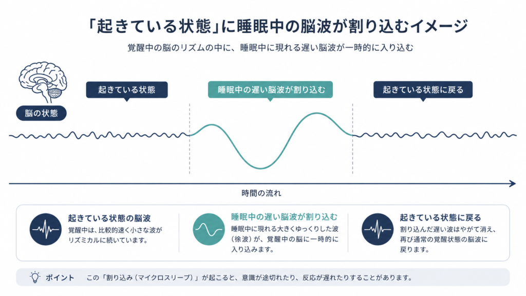 Clean minimal infographic on white background, a horizontal timeline labeled 'awake', a smooth flat line suddenly showing one large slow rounded wave intruding in the middle, small icon of a brain, muted navy and slate blue with soft teal highlight on the intruding wave, thin line style, professional medical minimal aesthetic, plenty of white space, simple sans-serif labels.