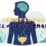 Clean modern flat illustration, TED-Ed explainer style, a simple stylized human silhouette with a highlighted bladder and a subtle brain-body connection line, calm navy and teal palette, minimal white background, rounded friendly shapes, no text, curious and reassuring mood.