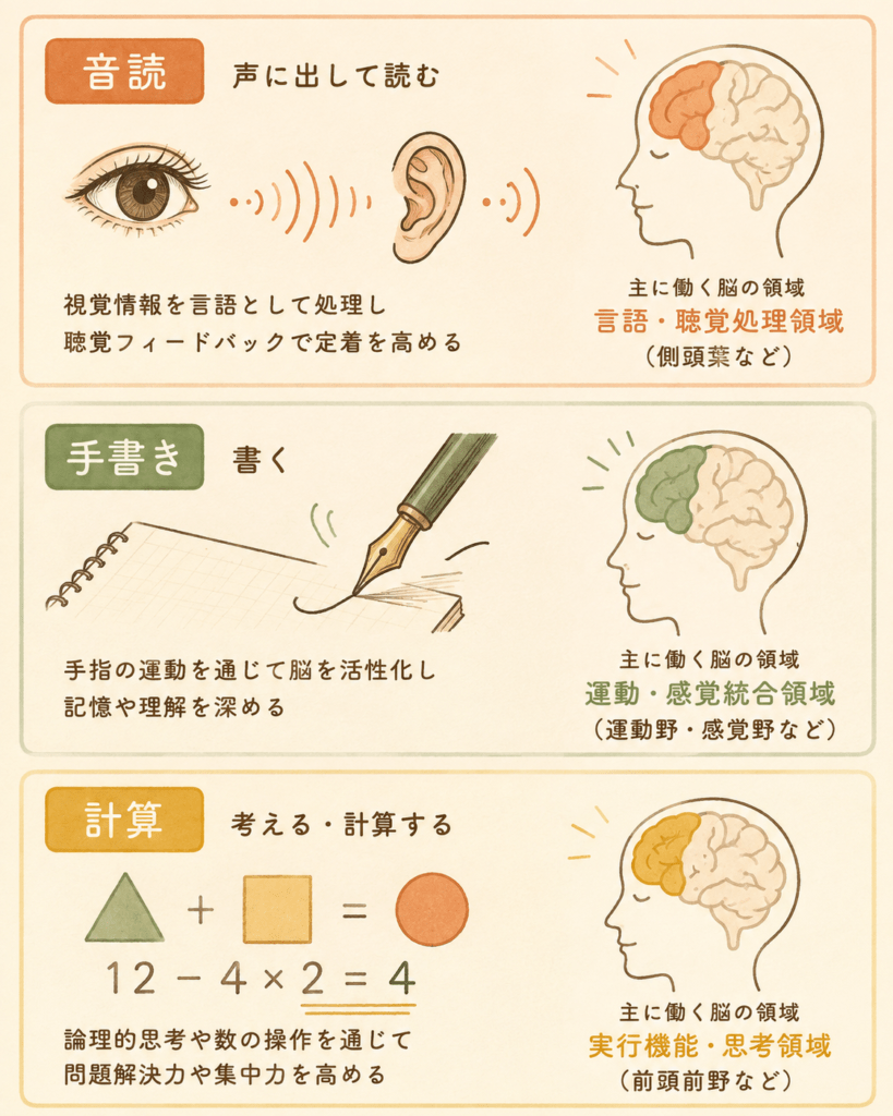 Warm hand-drawn style infographic divided into three horizontal panels on cream paper texture background. Panel one: eye and ear icons connected by soft sound wave lines. Panel two: a fountain pen tip with delicate motion lines over a notebook. Panel three: simple geometric shapes suggesting arithmetic. Palette of soft terracotta, sage green, warm brown and mustard on beige. Flat illustration, organic imperfect lines, cozy and approachable, no text, 4:5