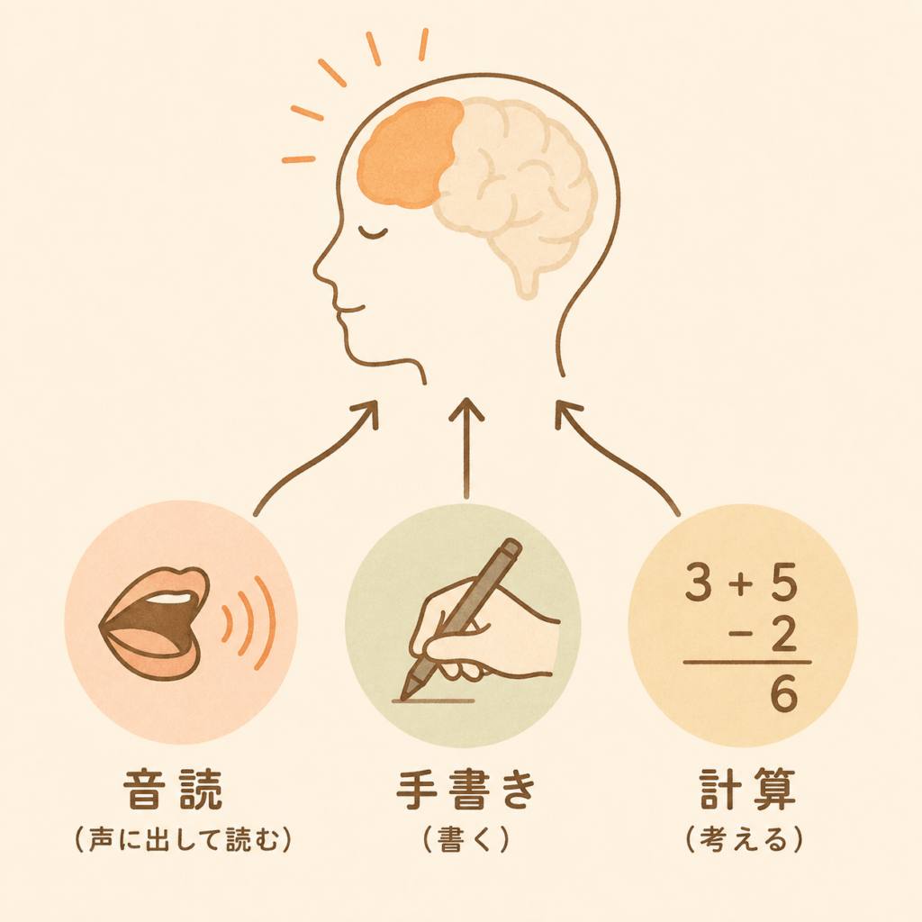 Clean minimal infographic in warm natural palette (beige background, soft terracotta, sage green, warm brown line art). Three simple icons in a row - an open mouth with sound waves labeled for reading aloud, a hand holding a pen labeled for handwriting, and simple numbers labeled for arithmetic - each with an arrow converging upward into a soft side-profile silhouette of a human head with the forehead region gently highlighted in warm orange. Flat vector illustration style, hand-drawn warmth, no text labels, plenty of white space, 1:1