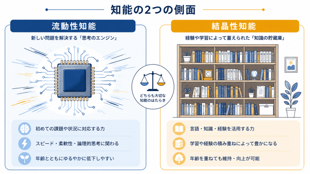 Clean infographic comparing two concepts side by side. Left panel: a stylized computer chip with speed lines, labeled area for "fluid". Right panel: a tall bookshelf densely filled with books, labeled area for "crystallized". Flat vector, thin outlines, navy (#1F4E79) and light blue with amber accent, lots of white space, no text inside the artwork. Modern minimal editorial style. 16:9.